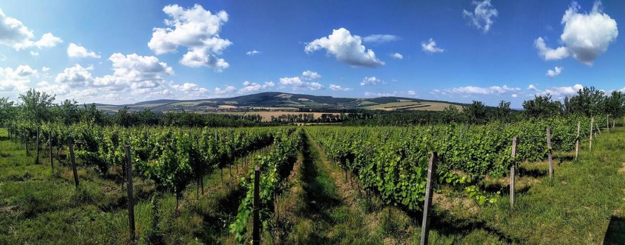 Penzion V Rodinnem Vinarstvi Kadubcovi Lipov Buitenkant foto